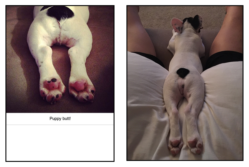 Betty_Puppy_Butt